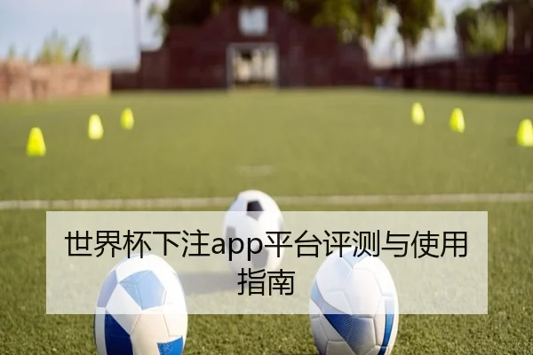 img_1781302645182_86_1_791.jpg
