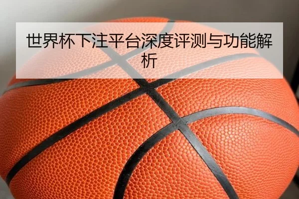 世界杯下注平台深度评测与功能解析
