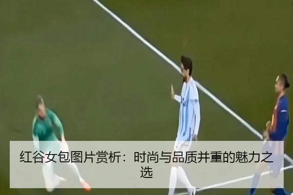 红谷女包图片赏析：时尚与品质并重的魅力之选